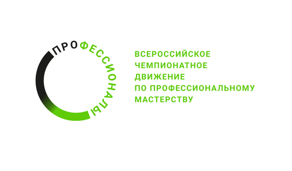 Профессионалы
